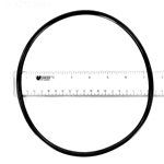 O-Ring 442 For