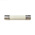 Jandy Pro Series 3.0 Amp Fuse AutoClearPlus 115V