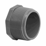 .25In Mpt Plug Schedule 80 Gray
