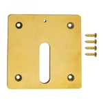 MJ6370 | MiniJet Cover Plate with Screws Brass