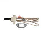 R0016400 | Igniter Assembly