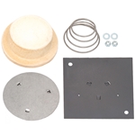 Jandy Pro Series Plug | Insp.Hole | Firebox