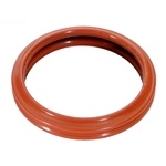 R0400500 | Jandy Silicone Gasket | Small Colors Replacement Kit