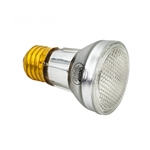 R0450505 |Pool Light Bulb 60W 120V