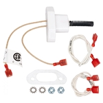 Jandy Igniter Assembly - HI-E2