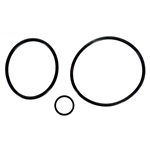 R0558701 | Diffuser O-Ring