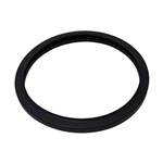 R0790500 | Pool Light Silicone Gasket replaces R0451101