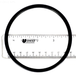 R172009 | O-Ring
