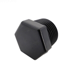 R172134 | PVC Threaded Plug