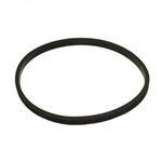 SPX0125T | Strainer Cover Gasket