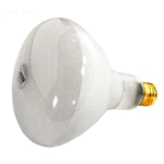 Bulb 120V/500W