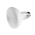 SPX0551Z4 | Bulb 60 Watt 120V