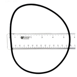 SPX1705Z1 | Housing O-Ring Gasket