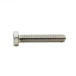 U30542SS | Screw