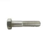 U3077SS | Cap Screw