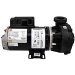 Pump Sd 240V 3.0Hp 2Spd 48Fr