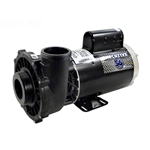 3721621-1D | Executive Pump 2 Speed 4 HP