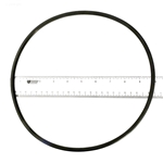 Lid O-Ring