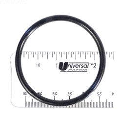 Gasket  Union Adapter