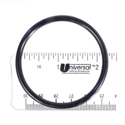 Gasket  Union Adapter