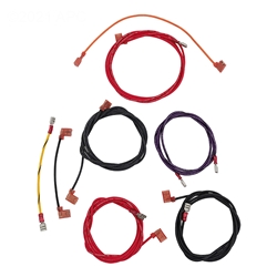 010386F | Wire Harness Millivolt