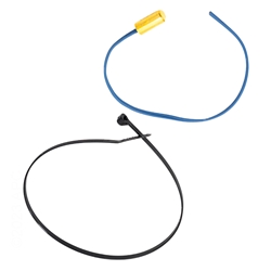 Sensor Water Raypak