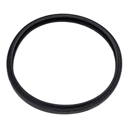 Large Lens Gasket