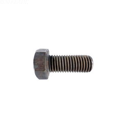 071683 | Screw Bronze