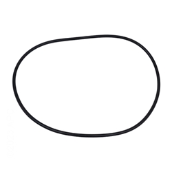 154493 | O-Ring