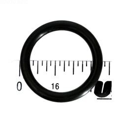 191479 | O-Ring