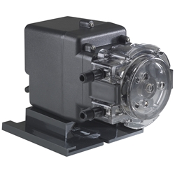 45MFL5A3S | Stenner Feed Pump Classic Series Single Head Fixed