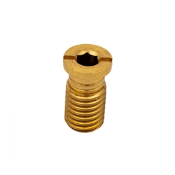 99-20-9100026 | Brass Cover Anchor Screw