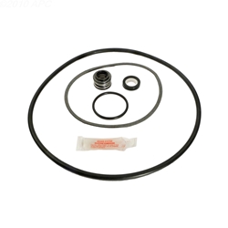 Go-Kit 25 | Sta-Rite PE PEA P2 and P2RA AJ Series Repair Kit