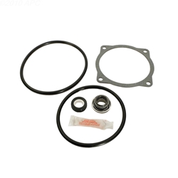 Go-Kit 26 | Sta-Rite CF CFA and CF6 Series Repair Kit