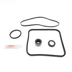 Hayward Super Pump O-Ring Repair Kit