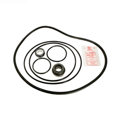 Go-Kit 36 | Aqua-Flo Dominator and C Series Repair Kit