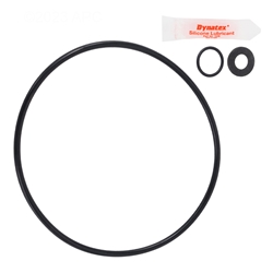 Ro-Kit 325 | Hayward S190T S245T Repair Kit