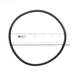 APCO2020 | Generic Replacement O-Ring