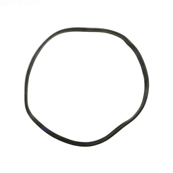 APCO2029 | Generic Replacement O-Ring