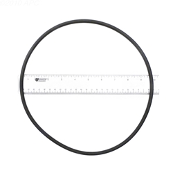 APCO2081 | Generic Replacement O-Ring