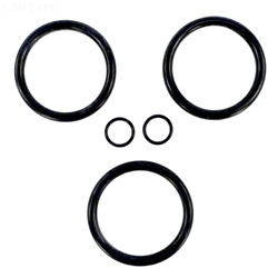 APCO2105 | Generic Replacement O-Ring