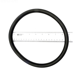 APCO2124 | Generic Replacement O-Ring