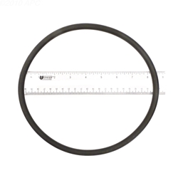 APCO2169 | Generic Replacement O-Ring