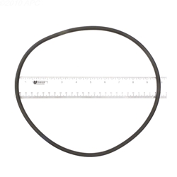 APCO2170 | Generic Replacement O-Ring