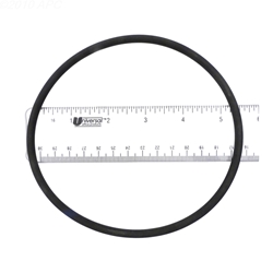 APCO2423 | Generic Replacement O-Ring