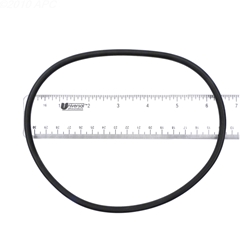 APCO2425 | Generic Replacement O-Ring