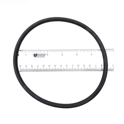 APCO2456 | Generic Replacement O-Ring