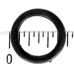 Plug O-Ring