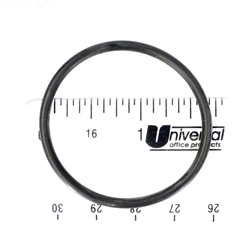 AX5010G19 | In-Line Filter O-Ring