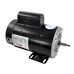 B236 | 5HP 2 Speed Spa Pump Motor 56 Frame